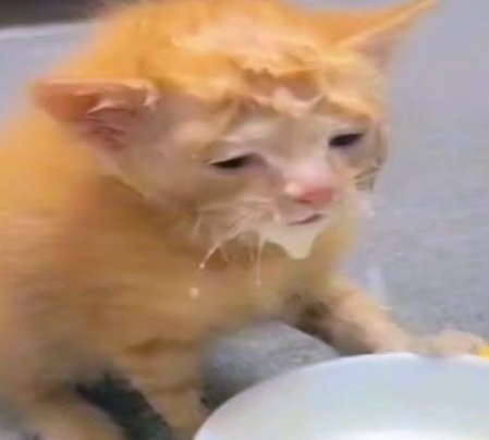 안감