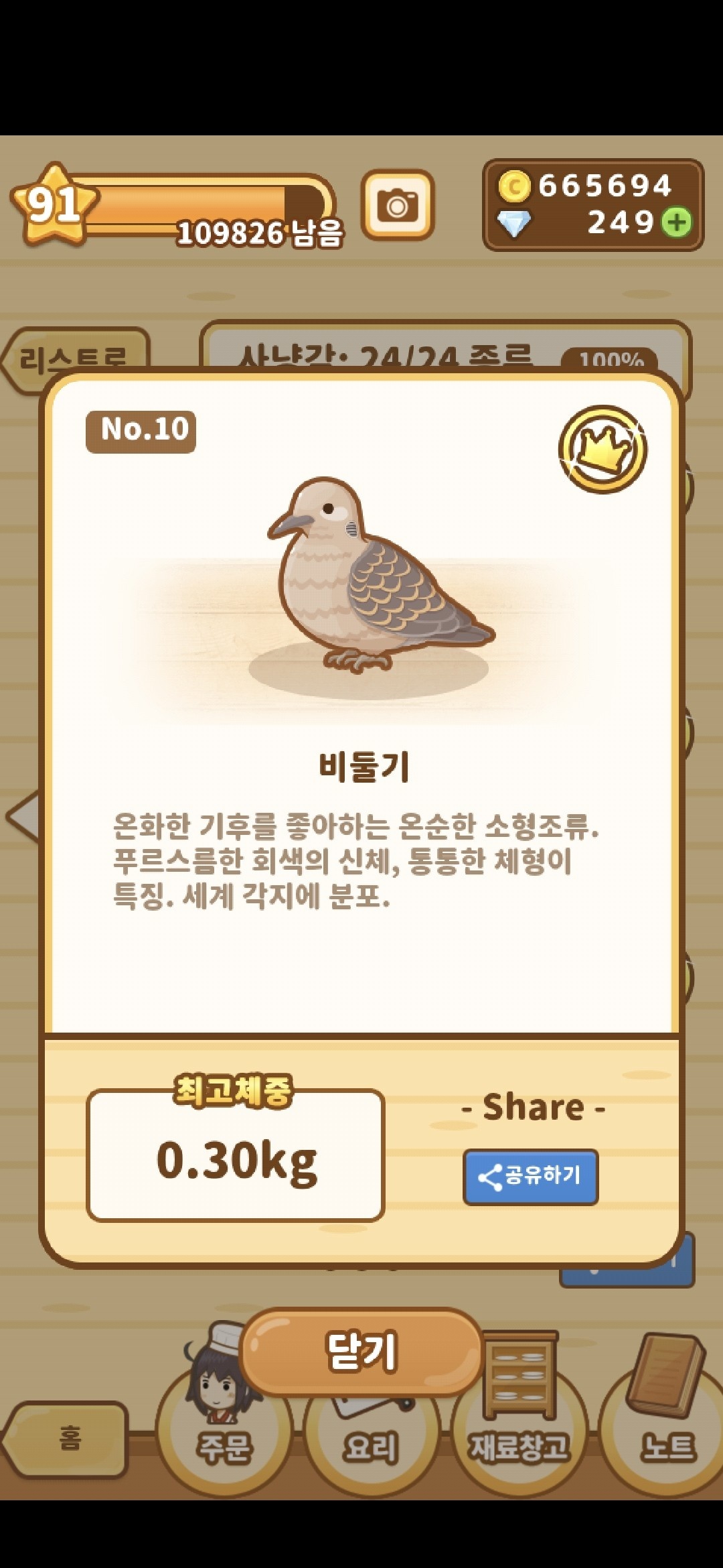 비둘기
