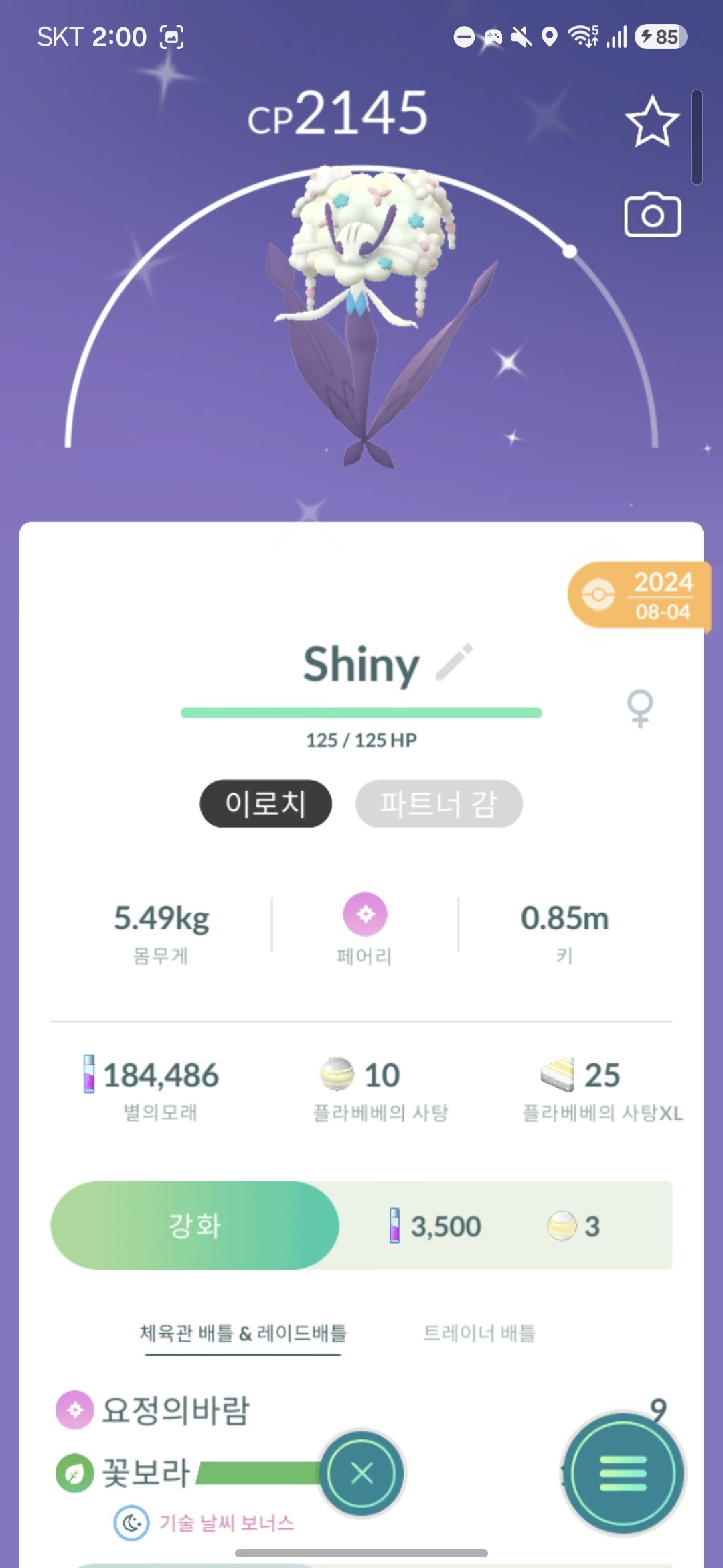 플라제스(색이 다름)